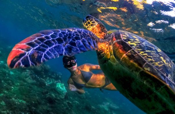 Freedive Boracay