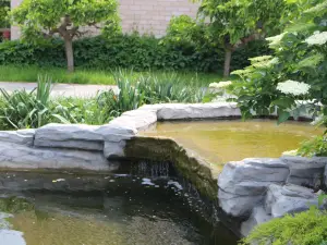 Home ZOO