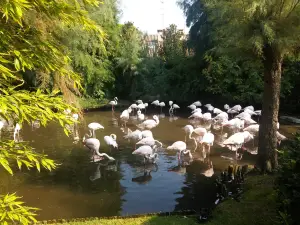 Parco Zoo Punta Verde