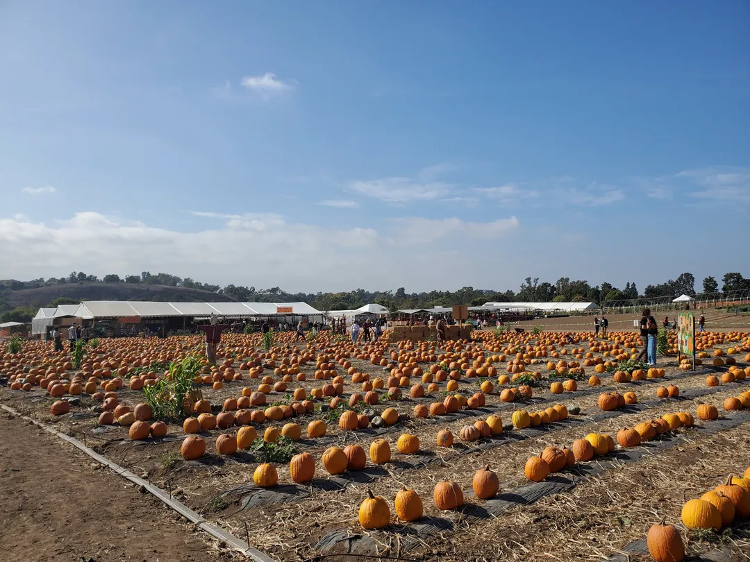 3_Tanaka Farms