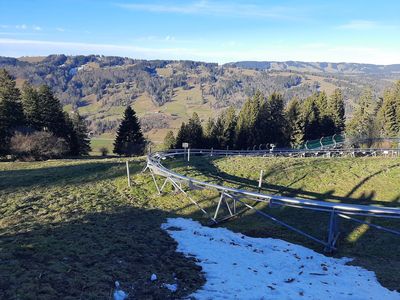 Alpsee Bergwelt