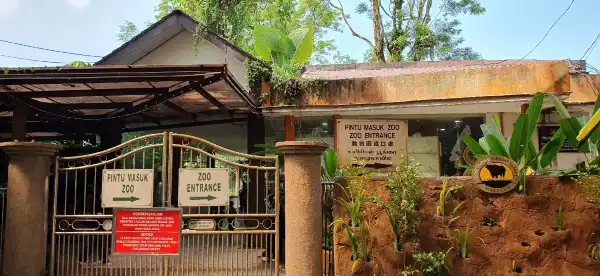 Tupai