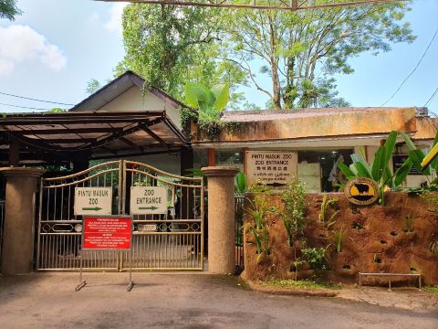Zoo Taiping & Night Safari