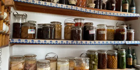 Oplevelsescenter Nyvang