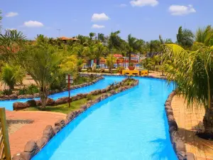 Pacu Acqua Park
