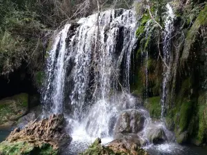 Moli Del Murri