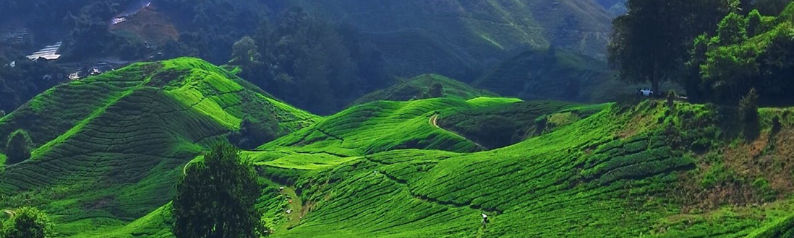 travel