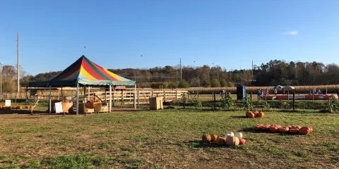 Uncle Shucks Corn Maze and Pumpkin Patch