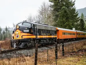 Mt. Rainier Scenic Railroad