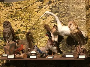 Historic Crab Orchard Museum