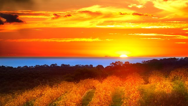 Chapel Hill Winery Tasting Room