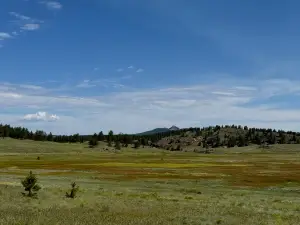 Florissant Fossil Beds National Monument