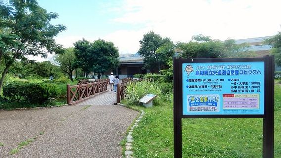 Shimane Prefectural Lake Shinji Nature Museum Gobius