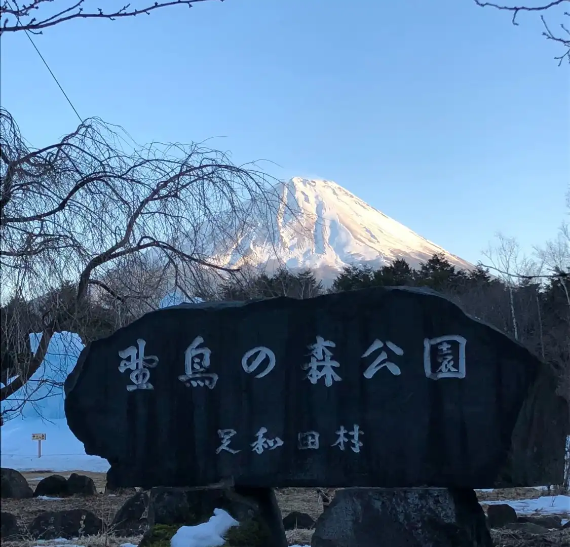 Hotels near Saiko Wild Bird Forest Park (Fujisan Eco Net)