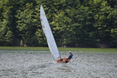 Lake Tarnița