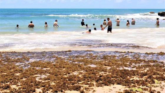 Pedra do Xareu Beach