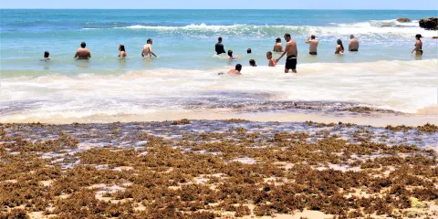 Pedra do Xareu Beach