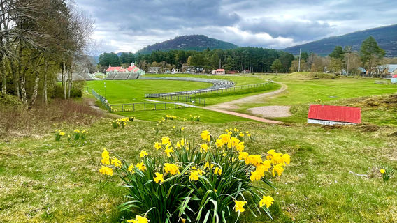 The Braemar Gathering