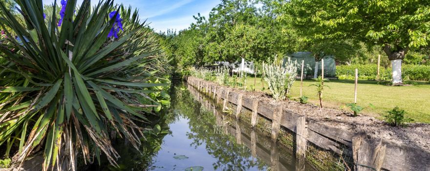 Les Hortillonnages : visites guidées en barque à cornet traditionnelle