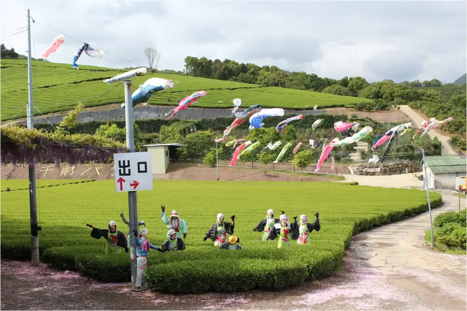 5_Senzai Farm