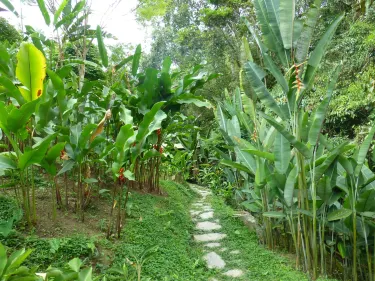 Jardin Botanico San Jorge