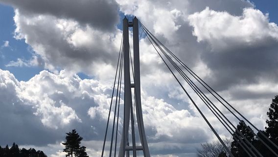 Forest Adventure Mt.Fuji
