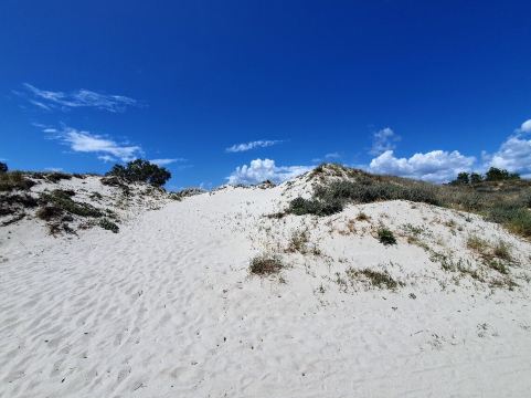 Mastichari