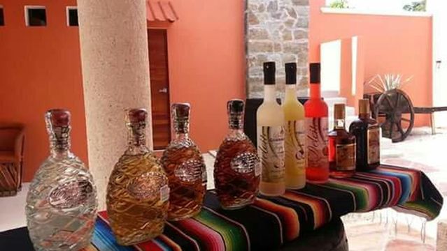 Mi Mexico Lindo Tequila Tour