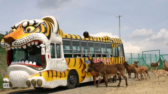 Iwate Safari Park