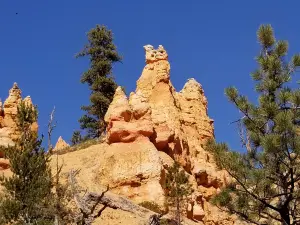 Dark Ranger Telescope Tours