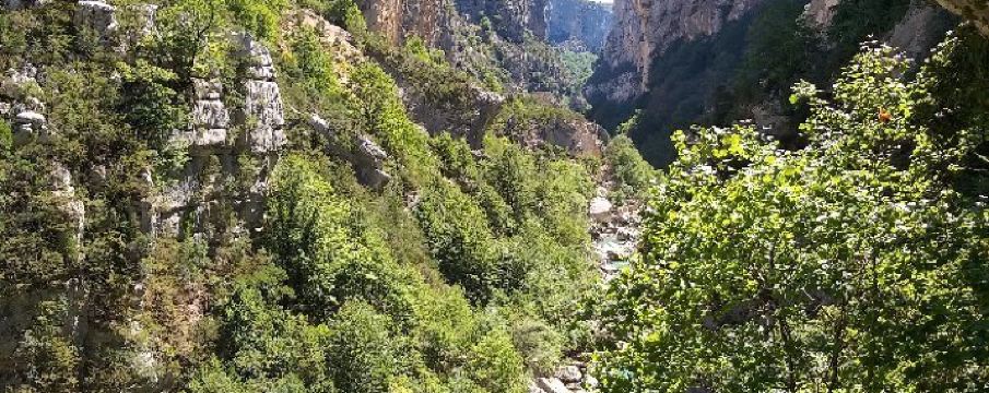 Rougon