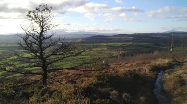 County Kilkenny