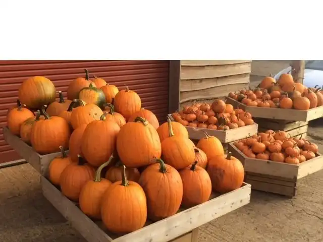 Hotels near Wykham Park Farm Shop