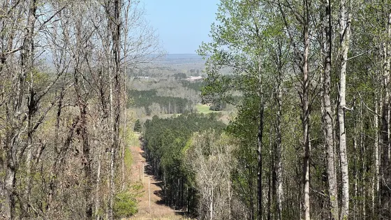 Woodall Mountain