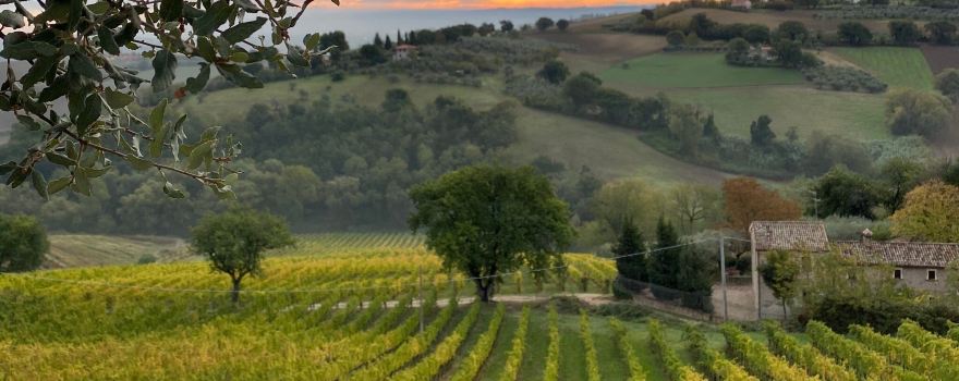 Azienda Agricola Lucarelli Roberto