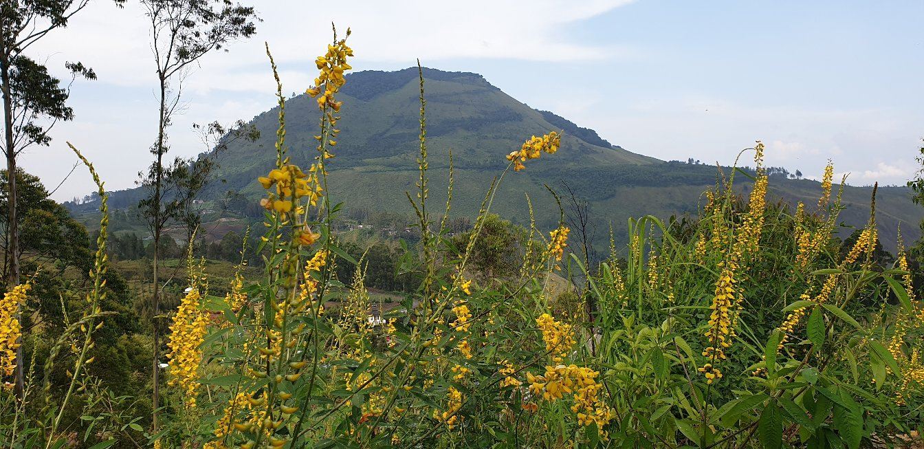 Bukit Gajah Bobok
