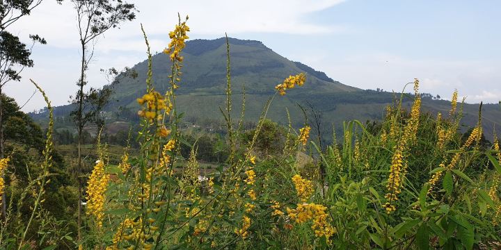 Bukit Gajah Bobok