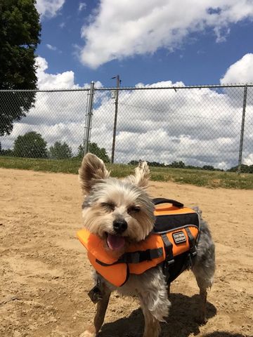 Bow Wow Beach