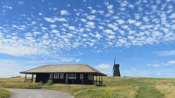 Beacon Hill Local Nature Reserve