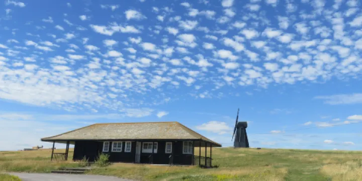 Beacon Hill Local Nature Reserve
