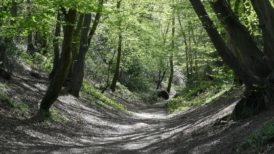 Devil's Dyke