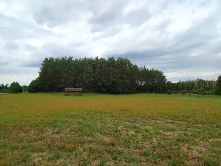 Отели в г. Рыбно