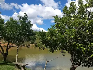 Pesque Pague Opções