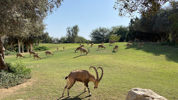 David and Paula Ben Gurion gravesite