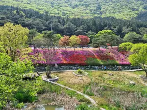 Suman-ri Cheoljjuk Park
