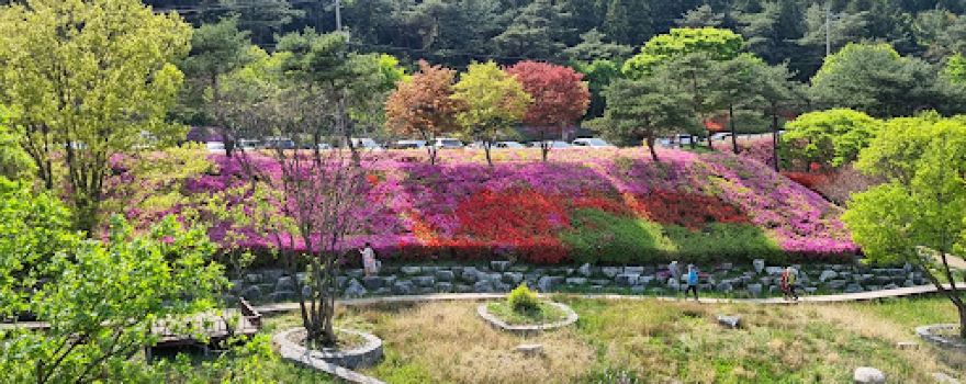 Suman-ri Cheoljjuk Park