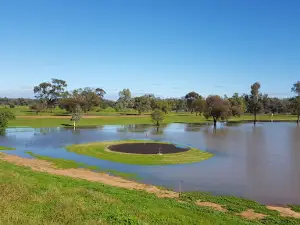 Nyngan Golf Club