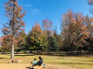 Town Creek Park