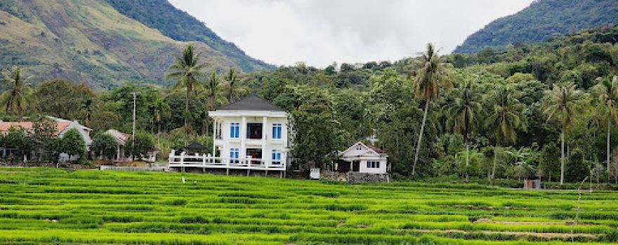 Rumah Gadang Koto