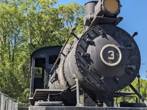 Patterson-McInnis Train